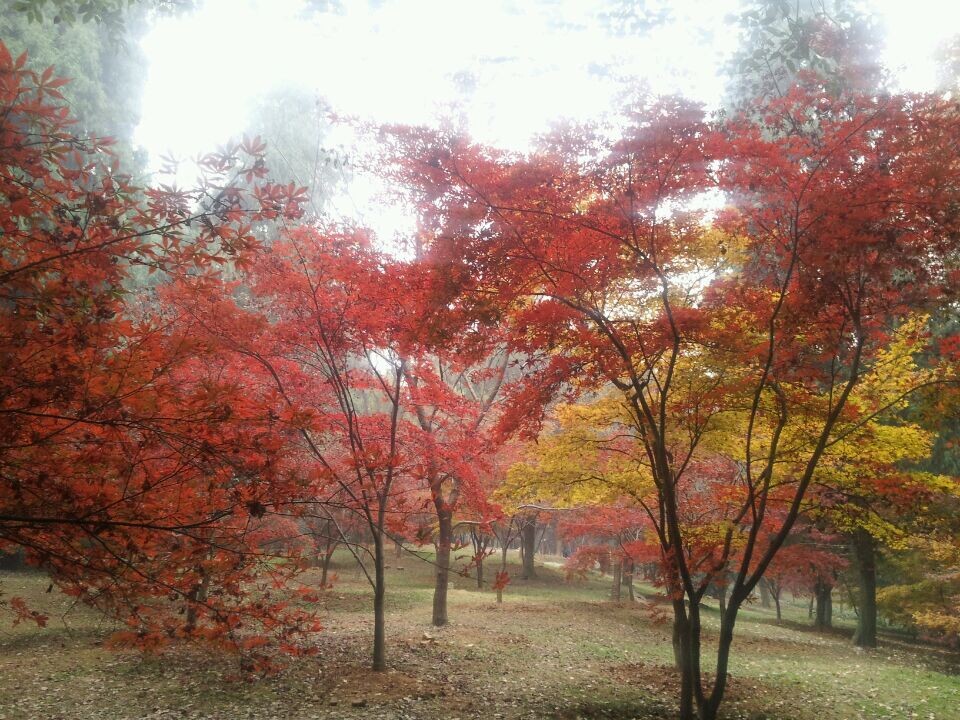 qqͼƬ20141123160733.jpg