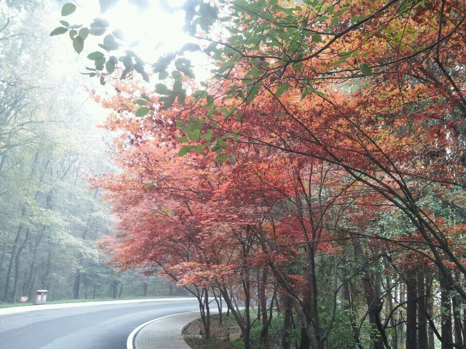 qqͼƬ20141123160801.jpg