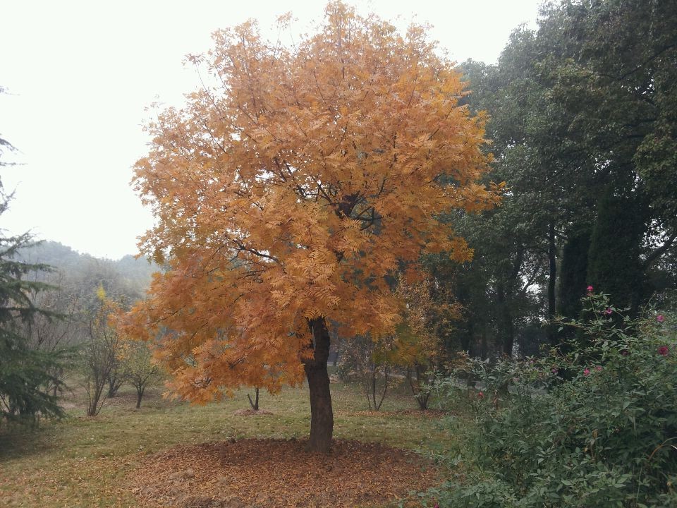 qqͼƬ20141123160825.jpg