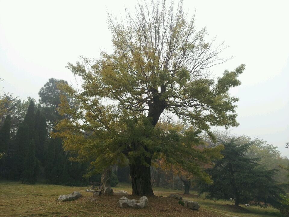 qqͼƬ20141123160831.jpg