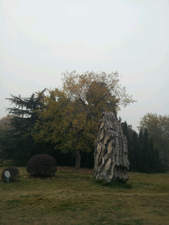qqͼƬ20141123160837.jpg