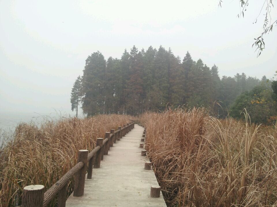 qqͼƬ20141123160848.jpg