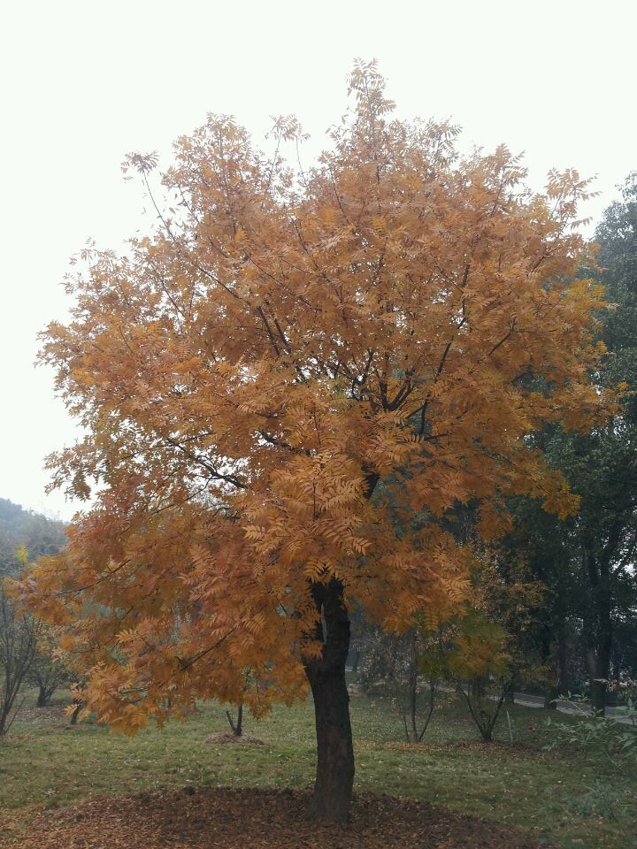 qqͼƬ20141123160854.jpg