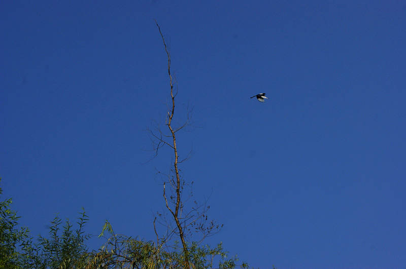 dsc07092.jpg