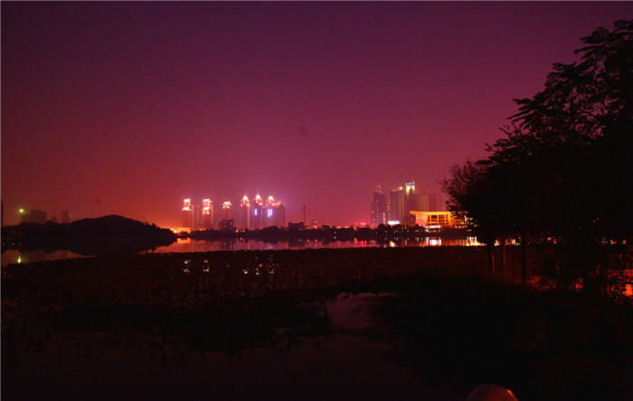 dsc_3617_.jpg
