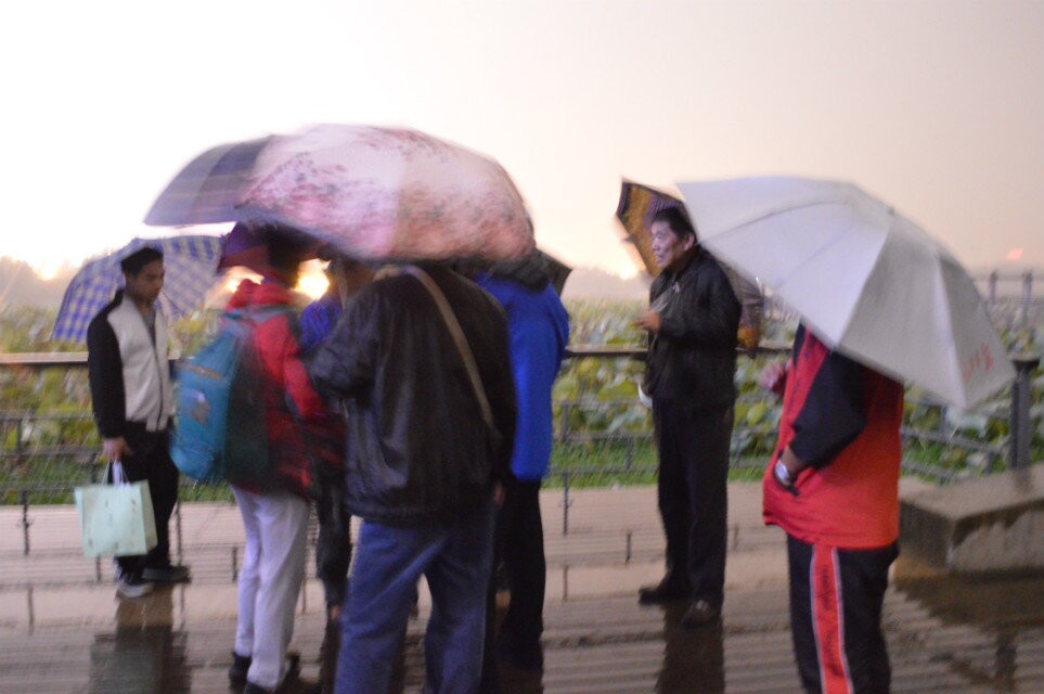 qqͼƬ20141107214413.jpg