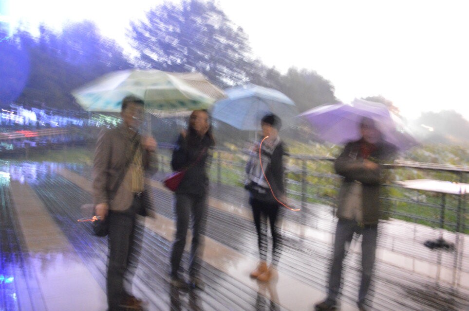 qqͼƬ20141107214430.jpg