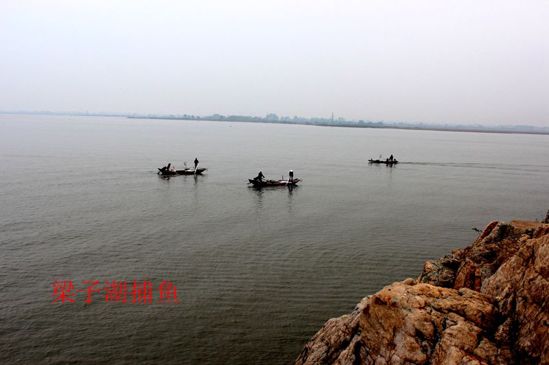 img_9003.jpg