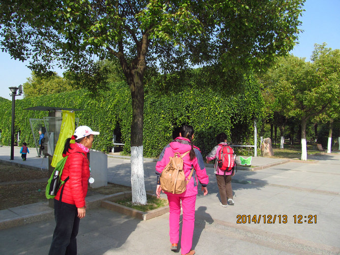 img_3782.jpg