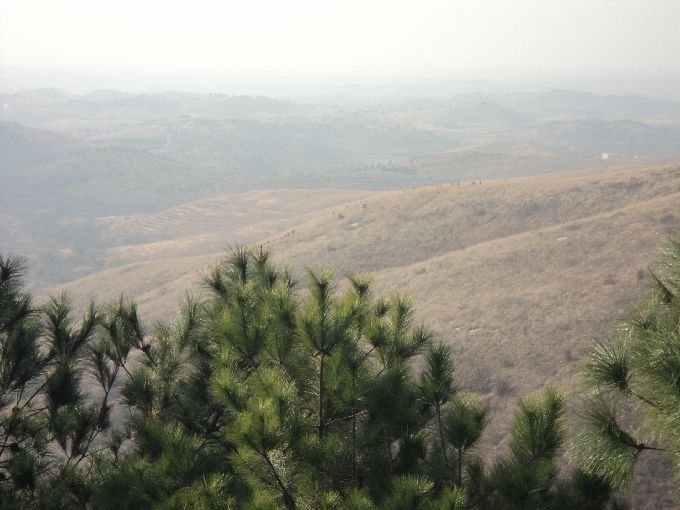 s680_dsc05315.jpg