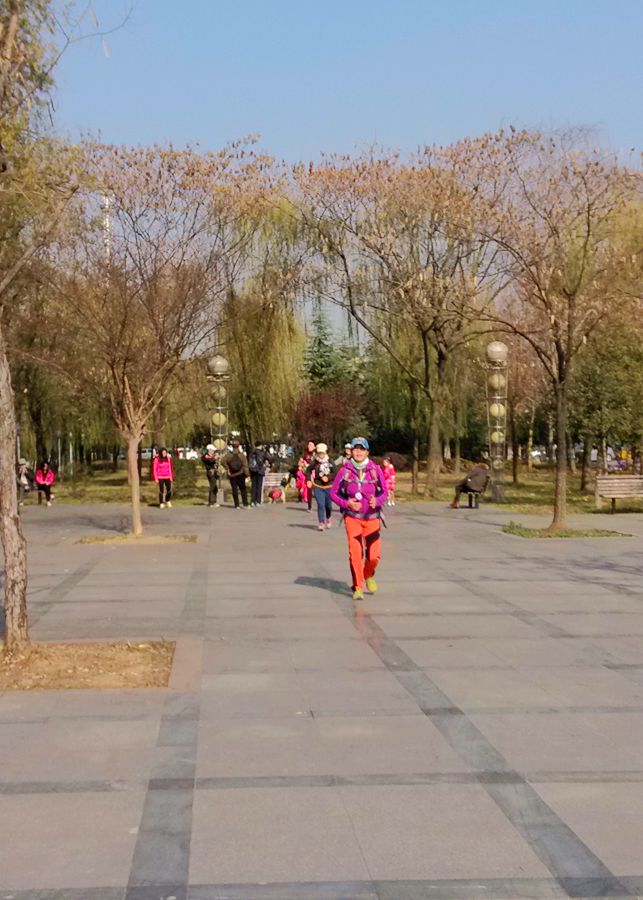 img_20141213_134611_.jpg