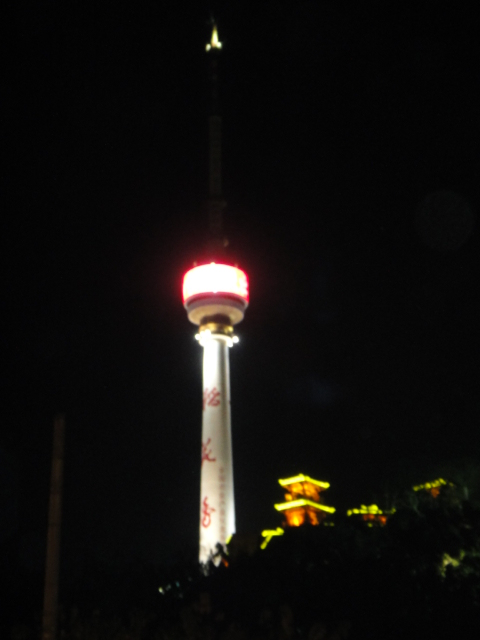 dsc05277.jpg