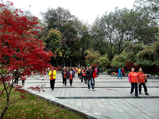 img_20141130_094131_.jpg