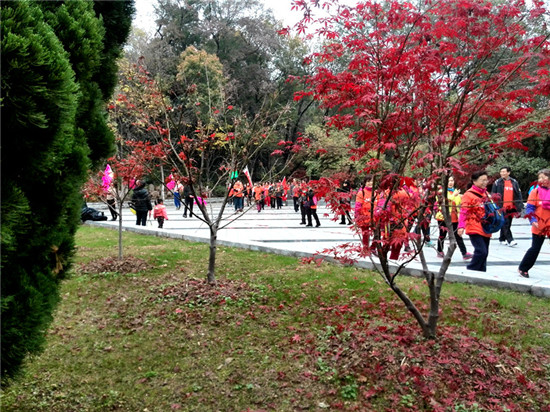 img_20141130_094144_.jpg
