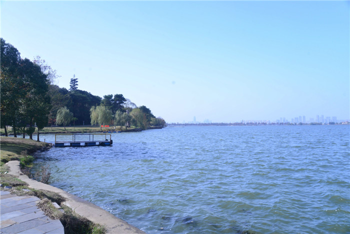 dsc_4187_.jpg