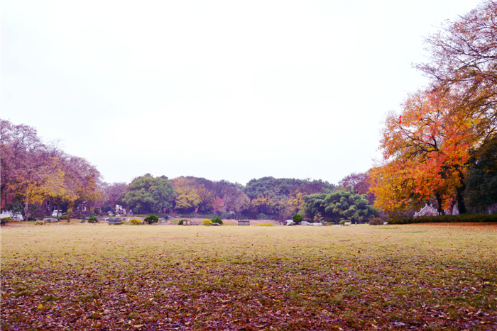 dsc_3808_.jpg
