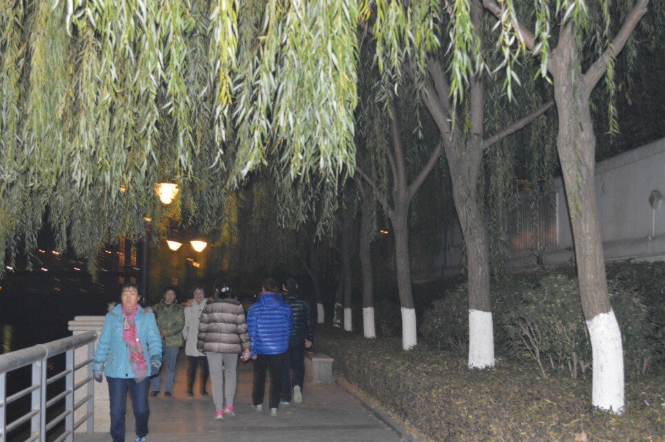 qqͼƬ20141224225002.jpg