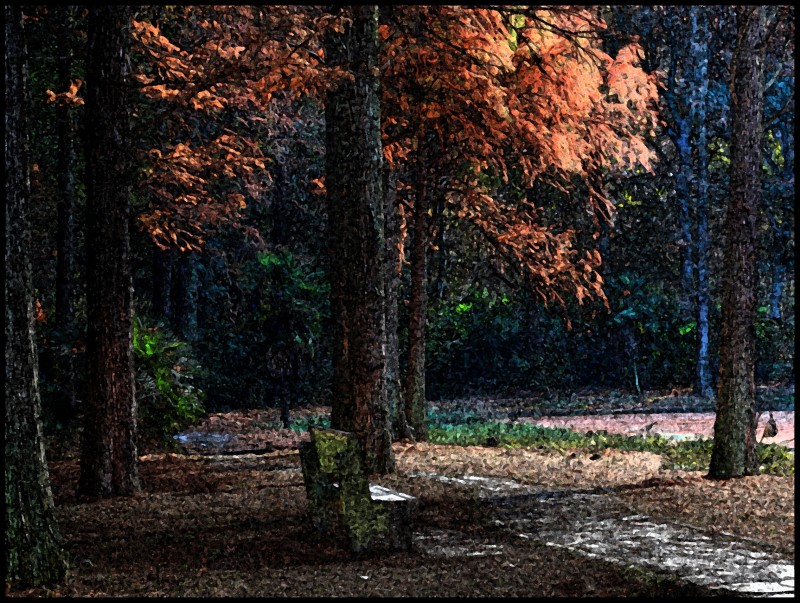 conew_1220ĥɽ 180_conew2.jpg