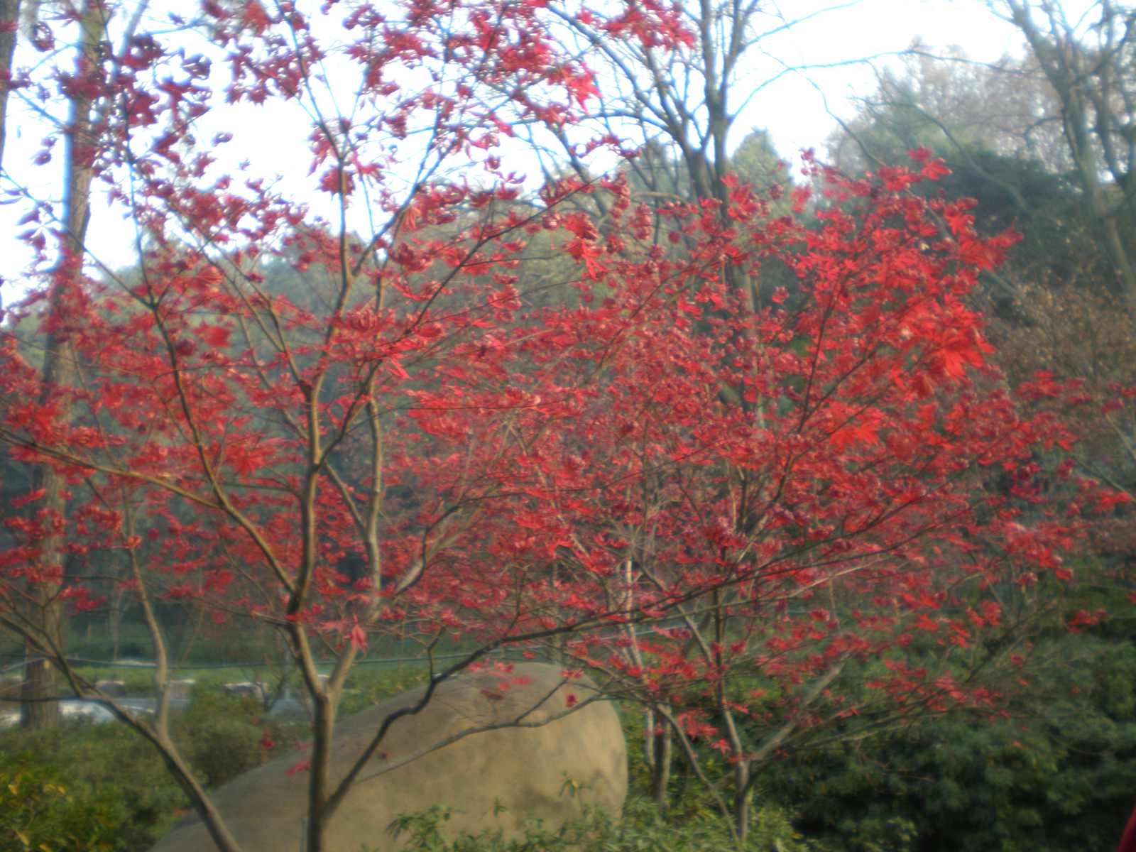 pc280006.jpg
