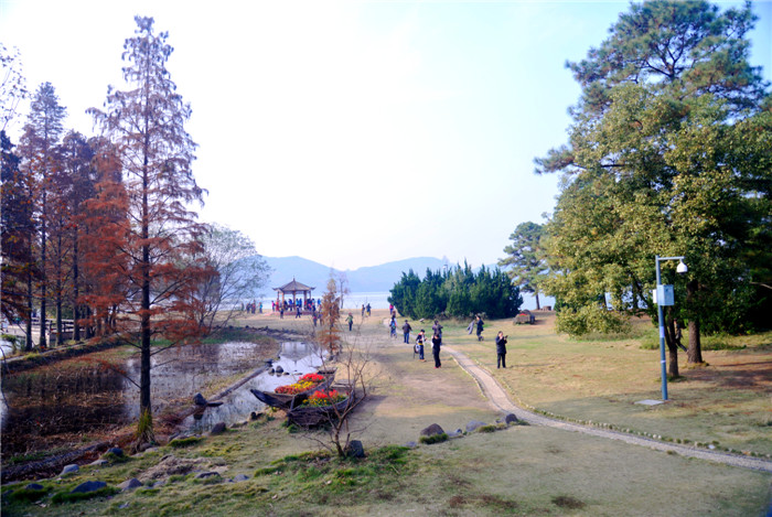 dsc_4234_.jpg