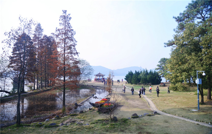 dsc_4233_.jpg