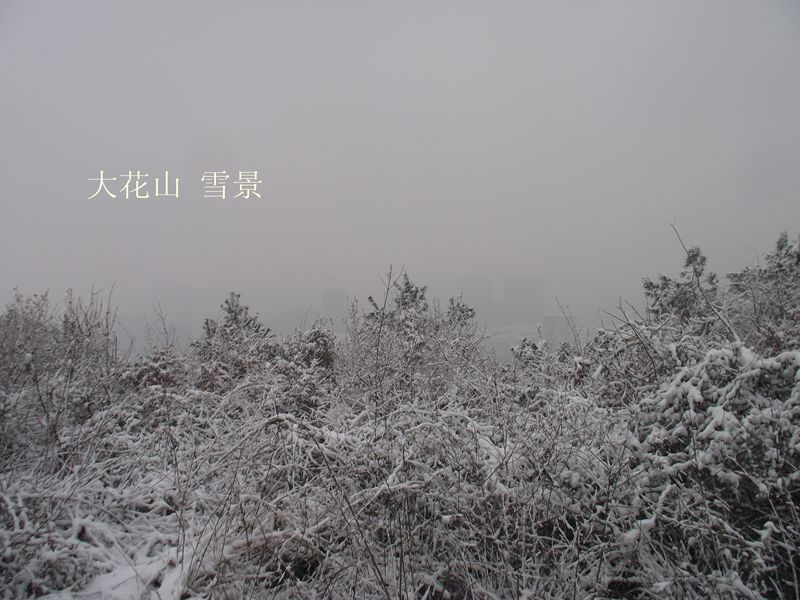 dscf0049.jpg