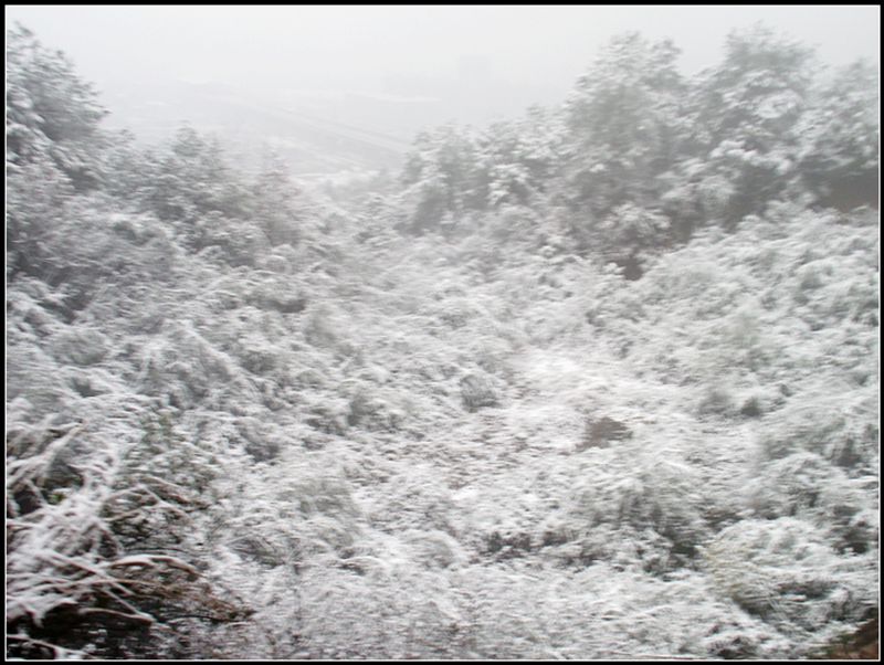 dscf0073.jpg