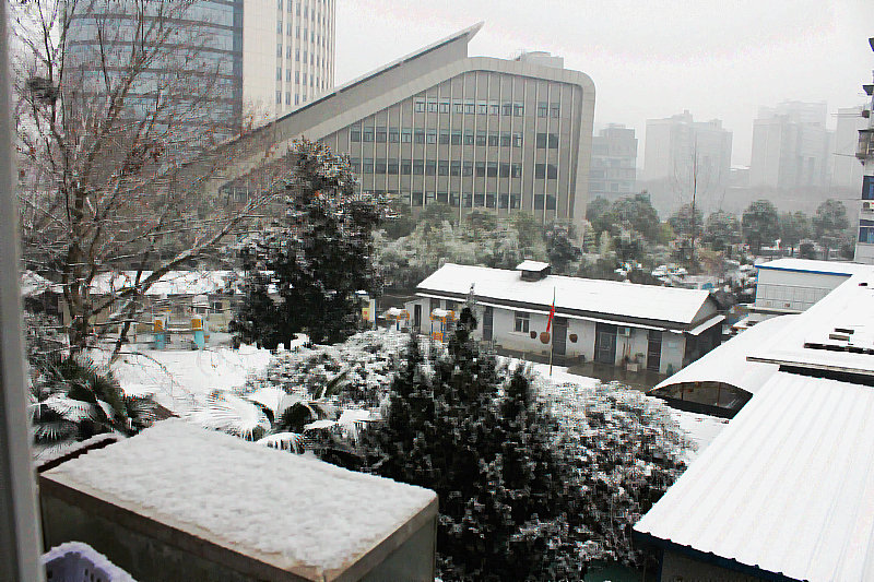 2014chunjieչ 038.jpg