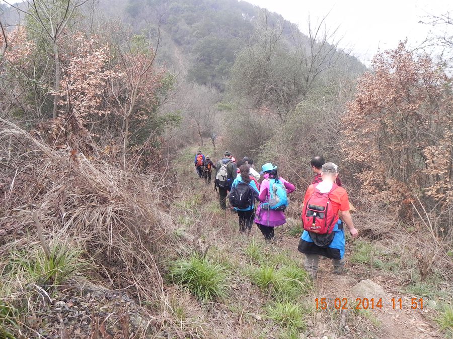 dscn6914.jpg