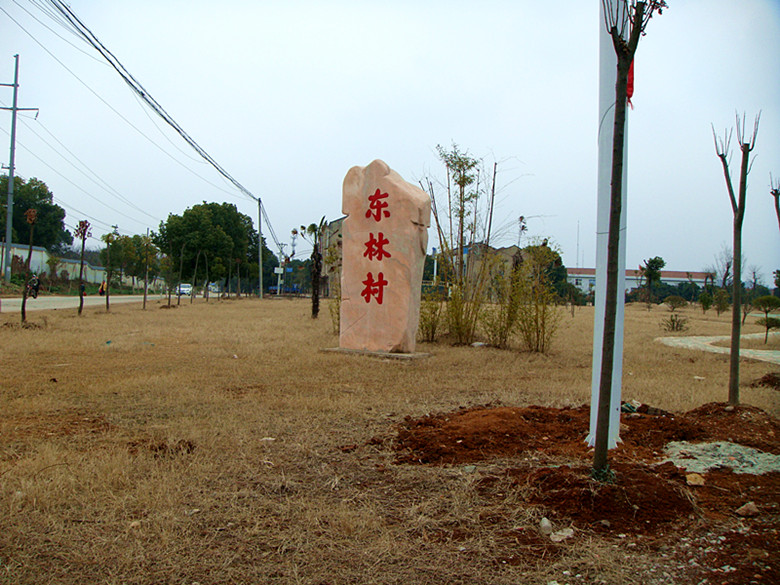 dsc03028_.jpg