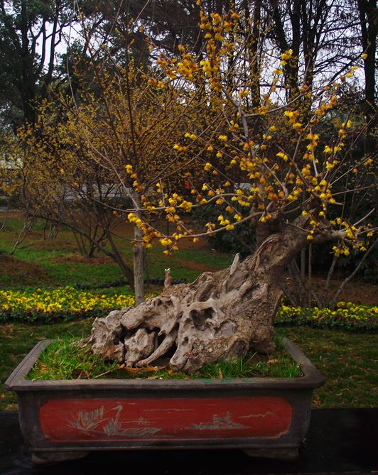 dscf0070.jpg