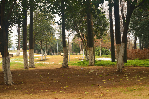 dsc_3012_.jpg