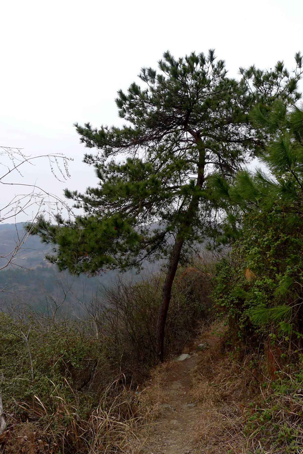 p10106406.jpg