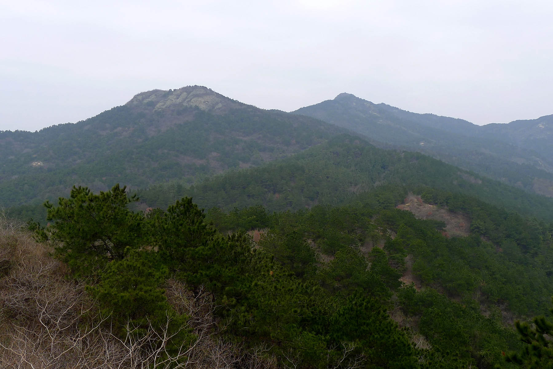p10106438.jpg
