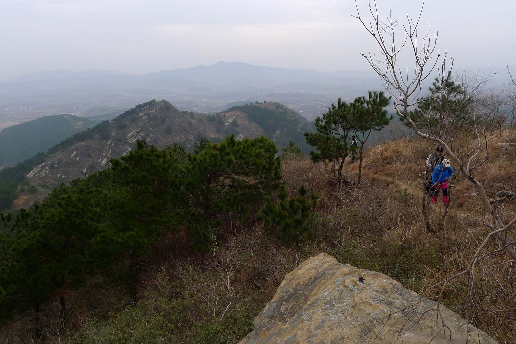 p10106449.jpg