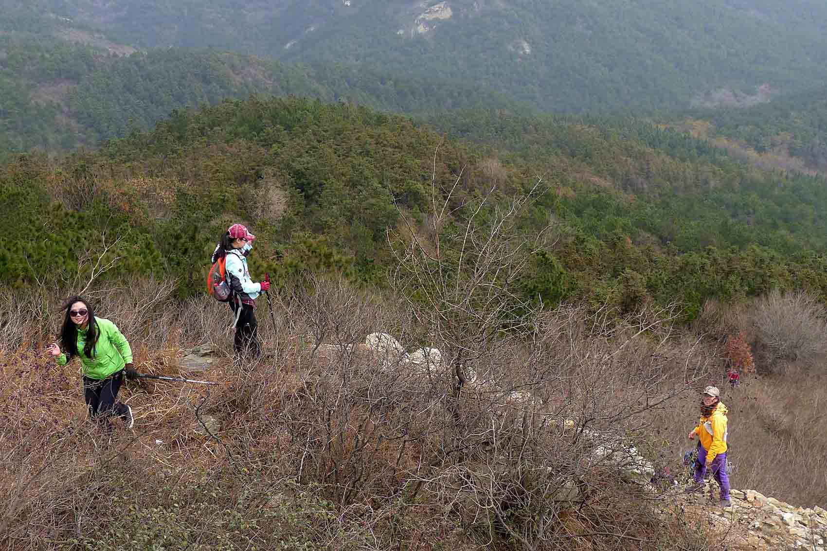 p101065413.jpg