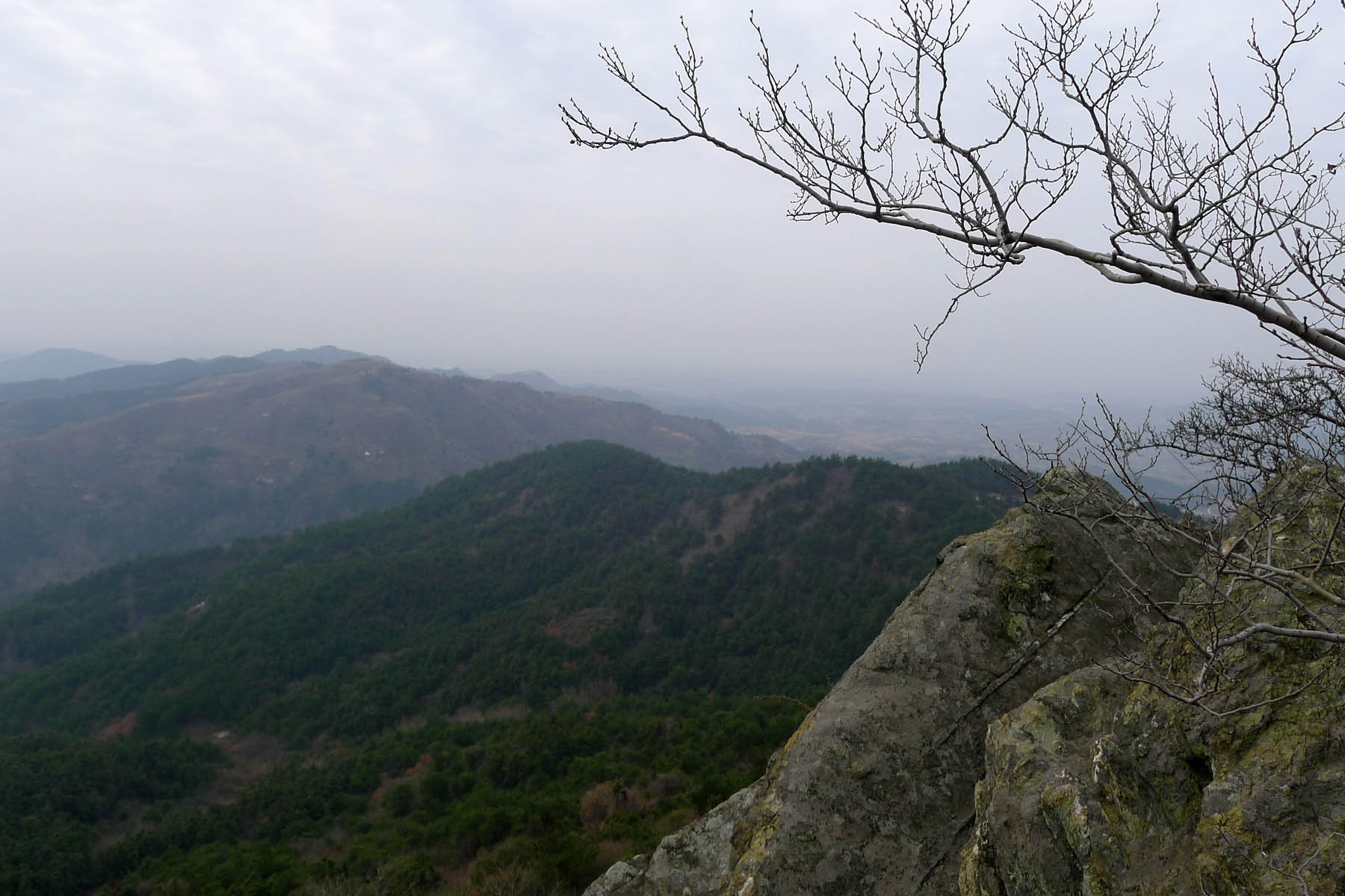 p101065715.jpg