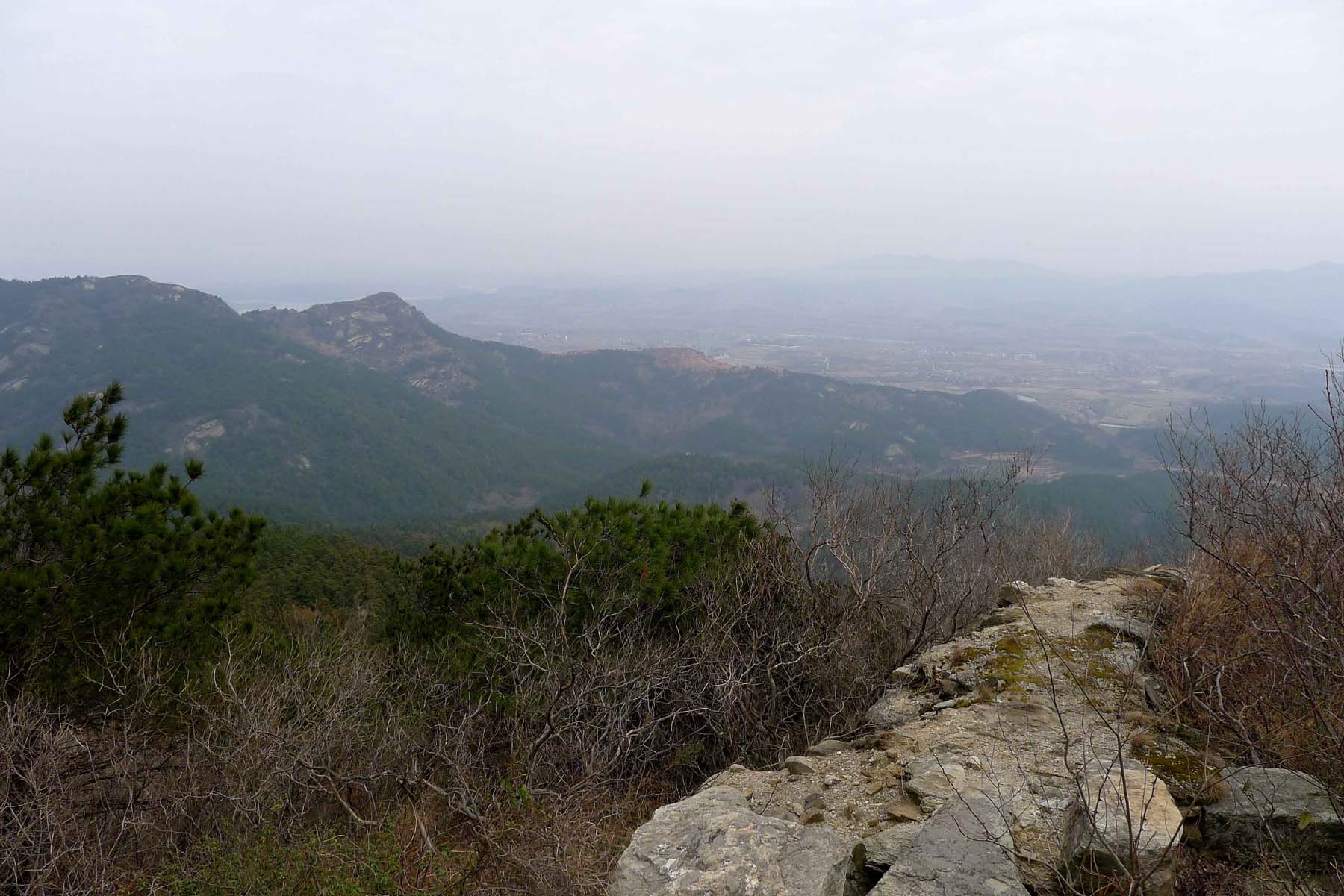 p101066217.jpg
