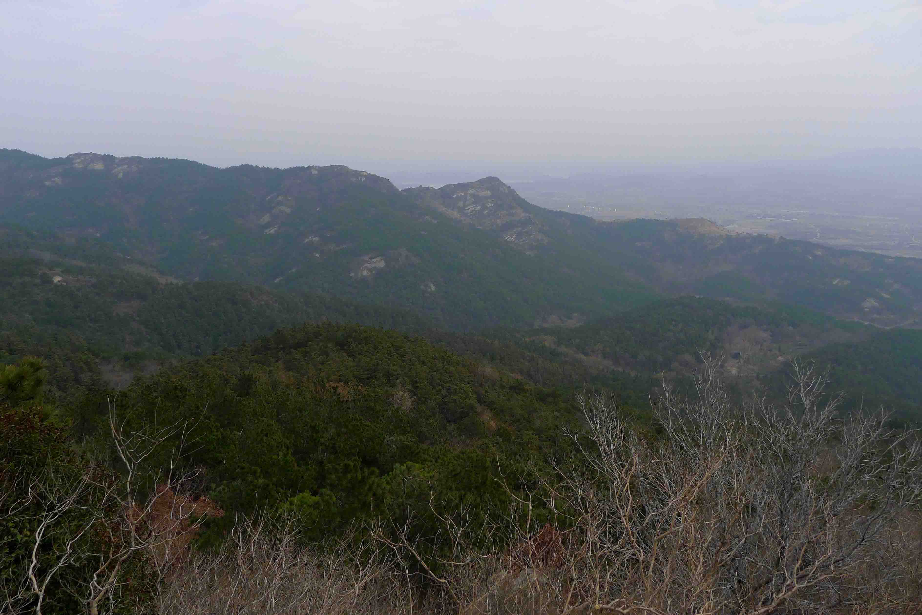 p101066318.jpg