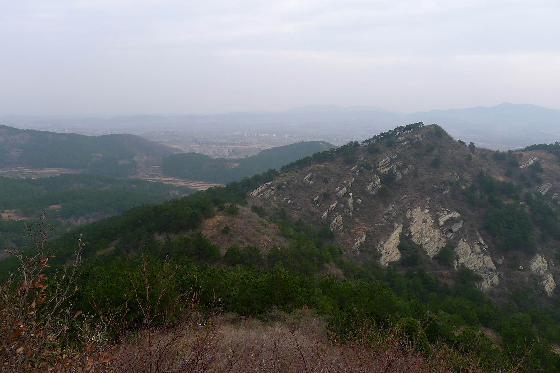 p10106332.jpg