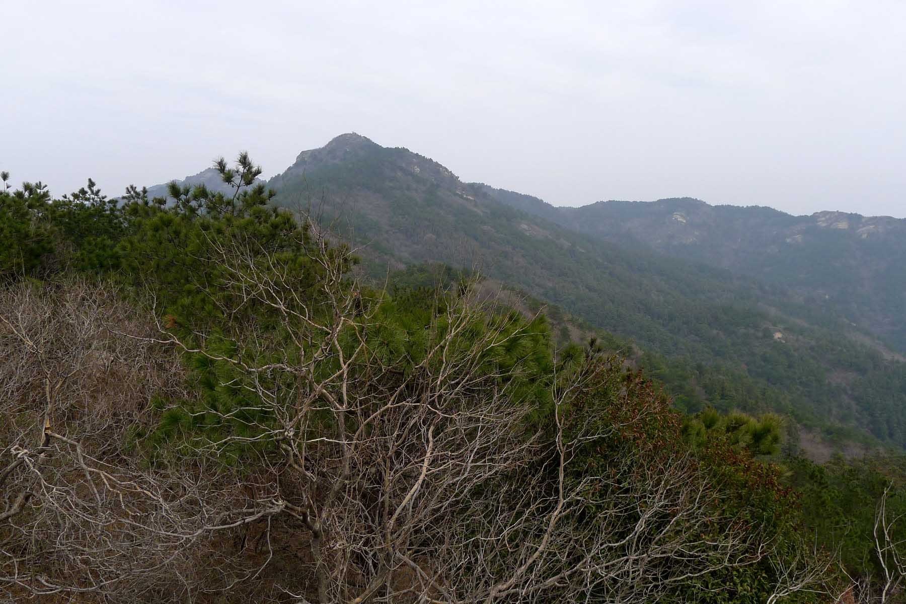 p101066419.jpg