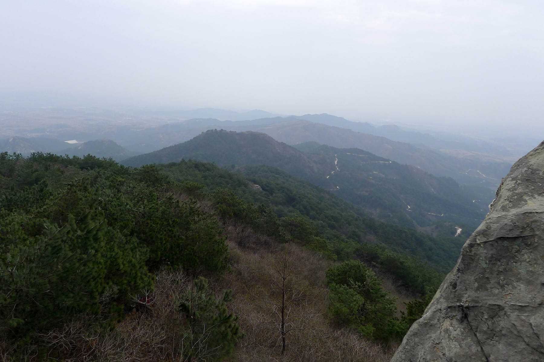 p101066621.jpg