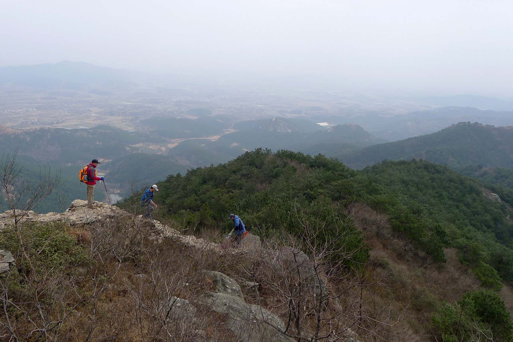 p101067227.jpg