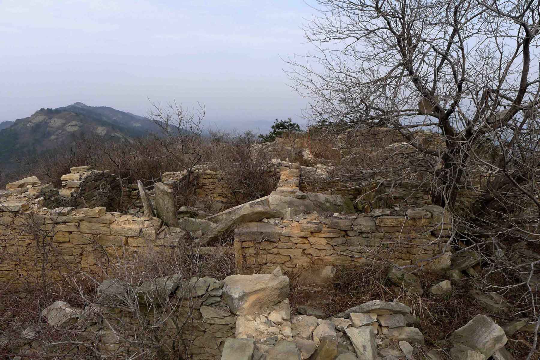 p101067732.jpg