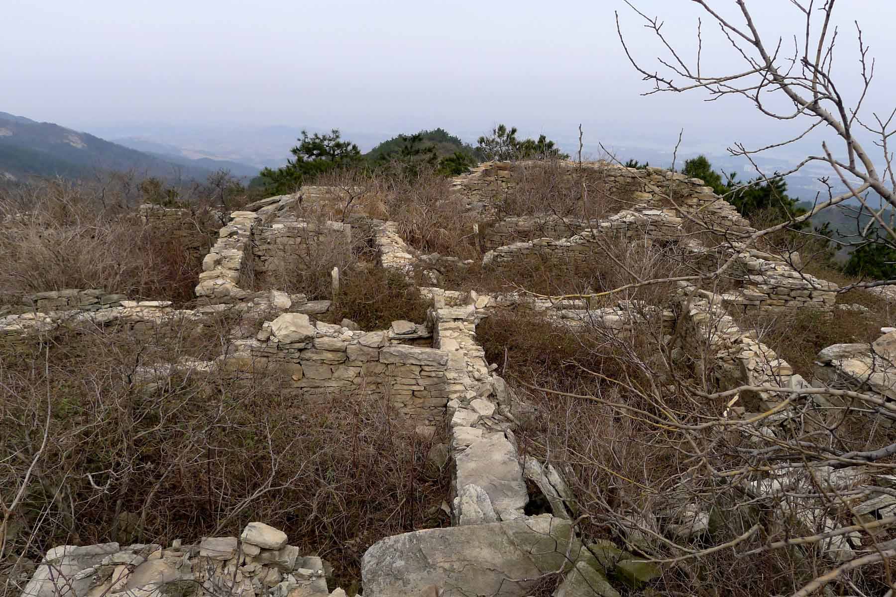p101067833.jpg