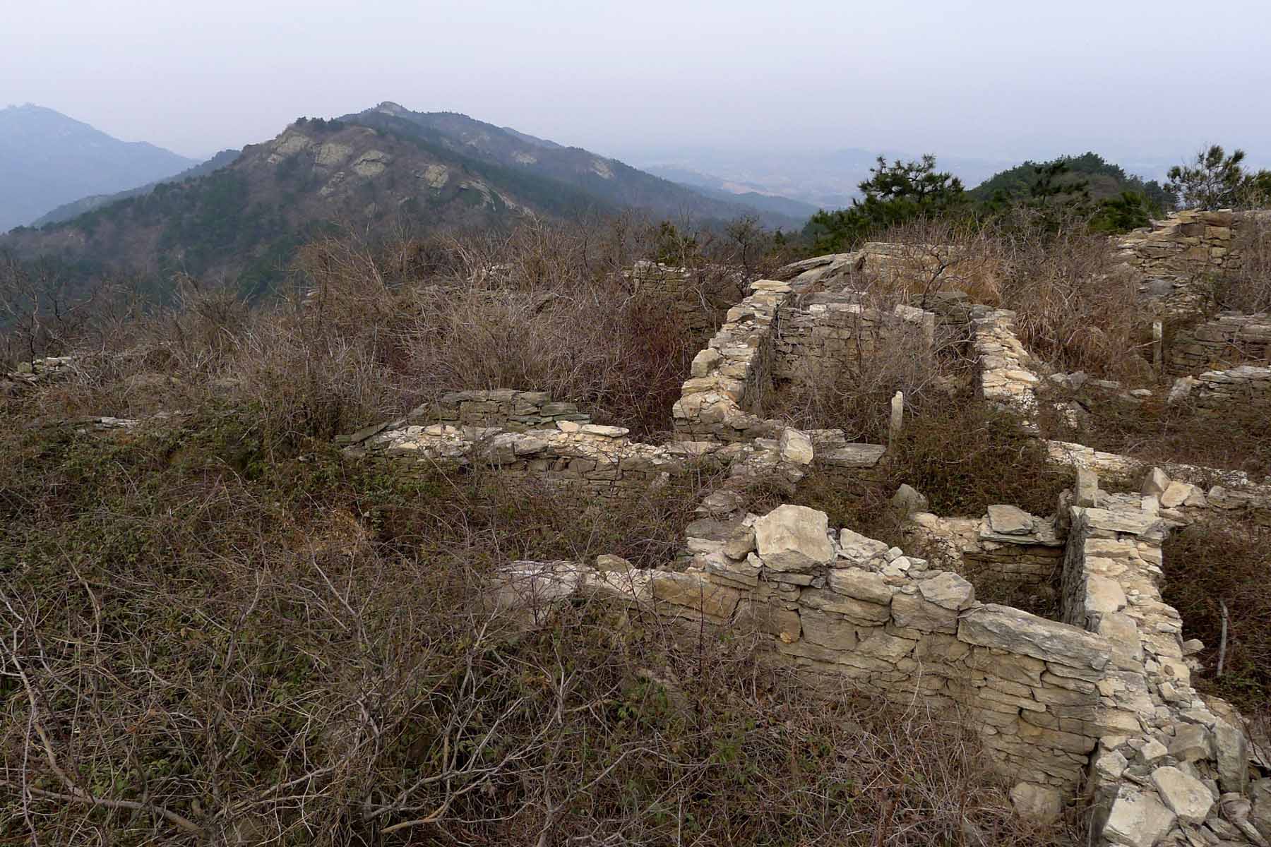p101067934.jpg