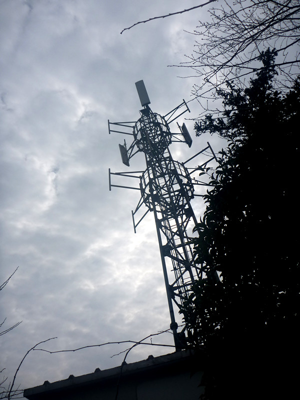 p1170977_.jpg