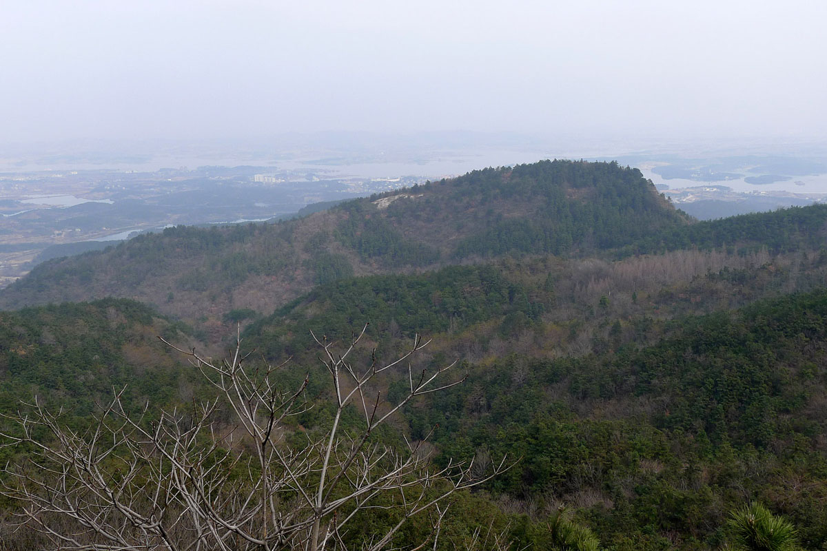 p101068538.jpg