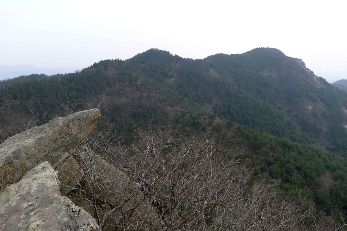 p101068939.jpg