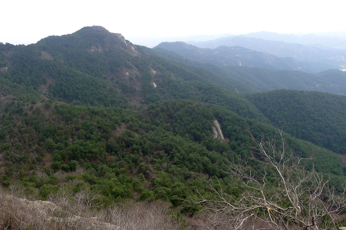 p101069141.jpg